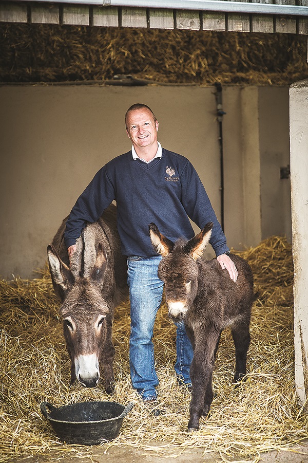 Andy Cockburn with two of his charges. Image: The Donkey Sanctuary
