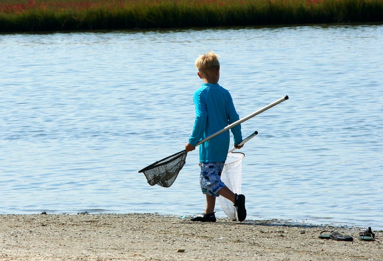 Don't forget to bring along a net or bucket.