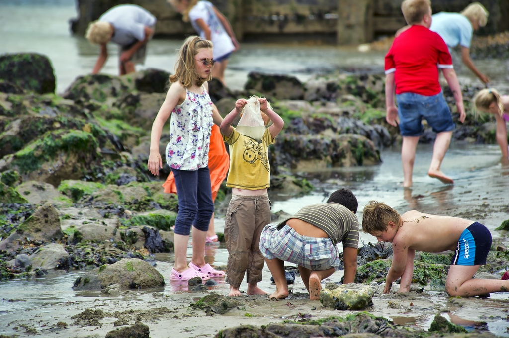 Kids will literally spend all day rock-pooling once they get going.