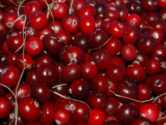 how to make a cranberry