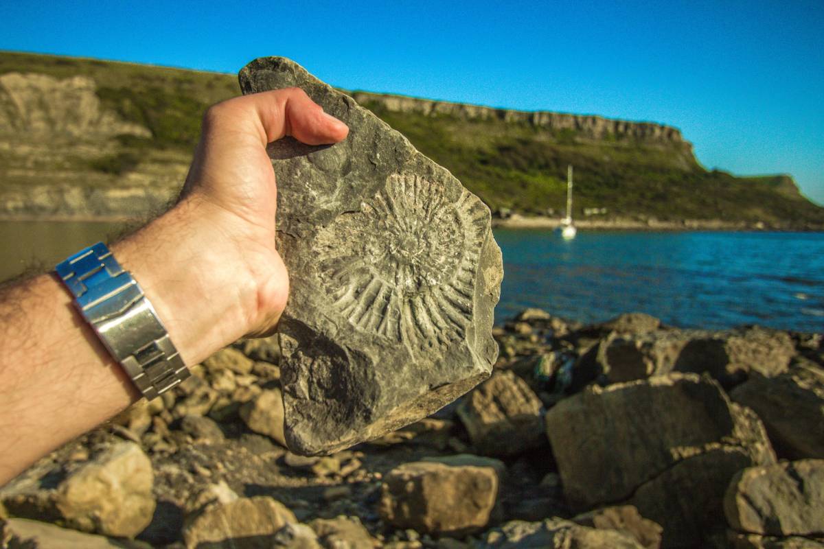 five places for a fossil-hunting adventure - Dorset Cereals