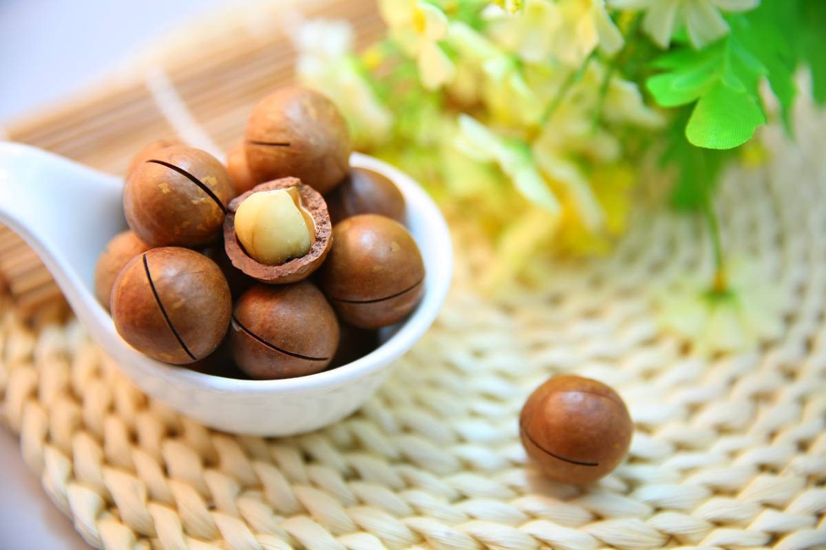 10 reasons why the macadamia is the world’s most interesting nut
