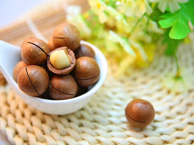 10 reasons why the macadamia is the world’s most interesting nut