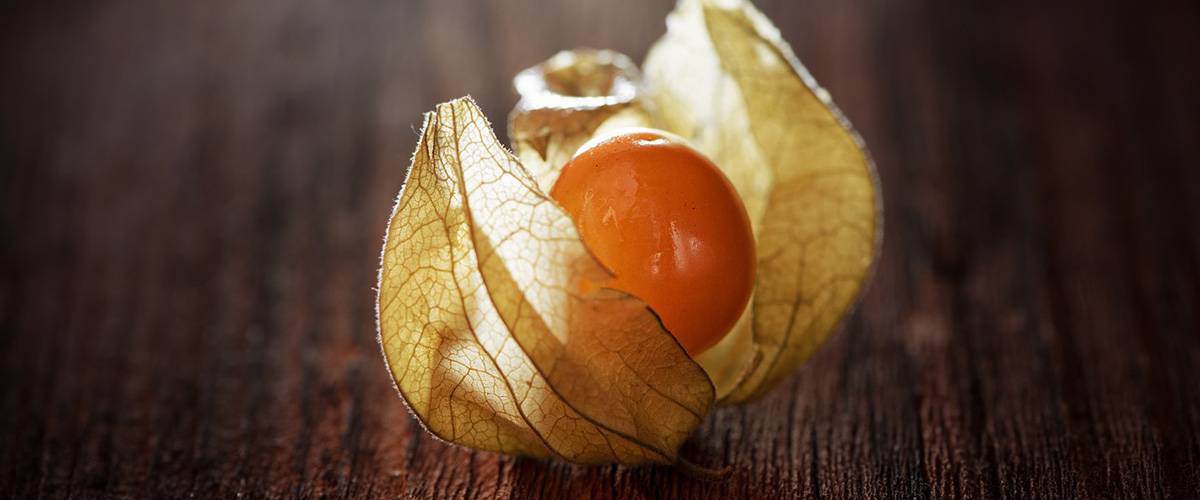 the golden berry: nine things you probably didn’t know about this delicious little fruit