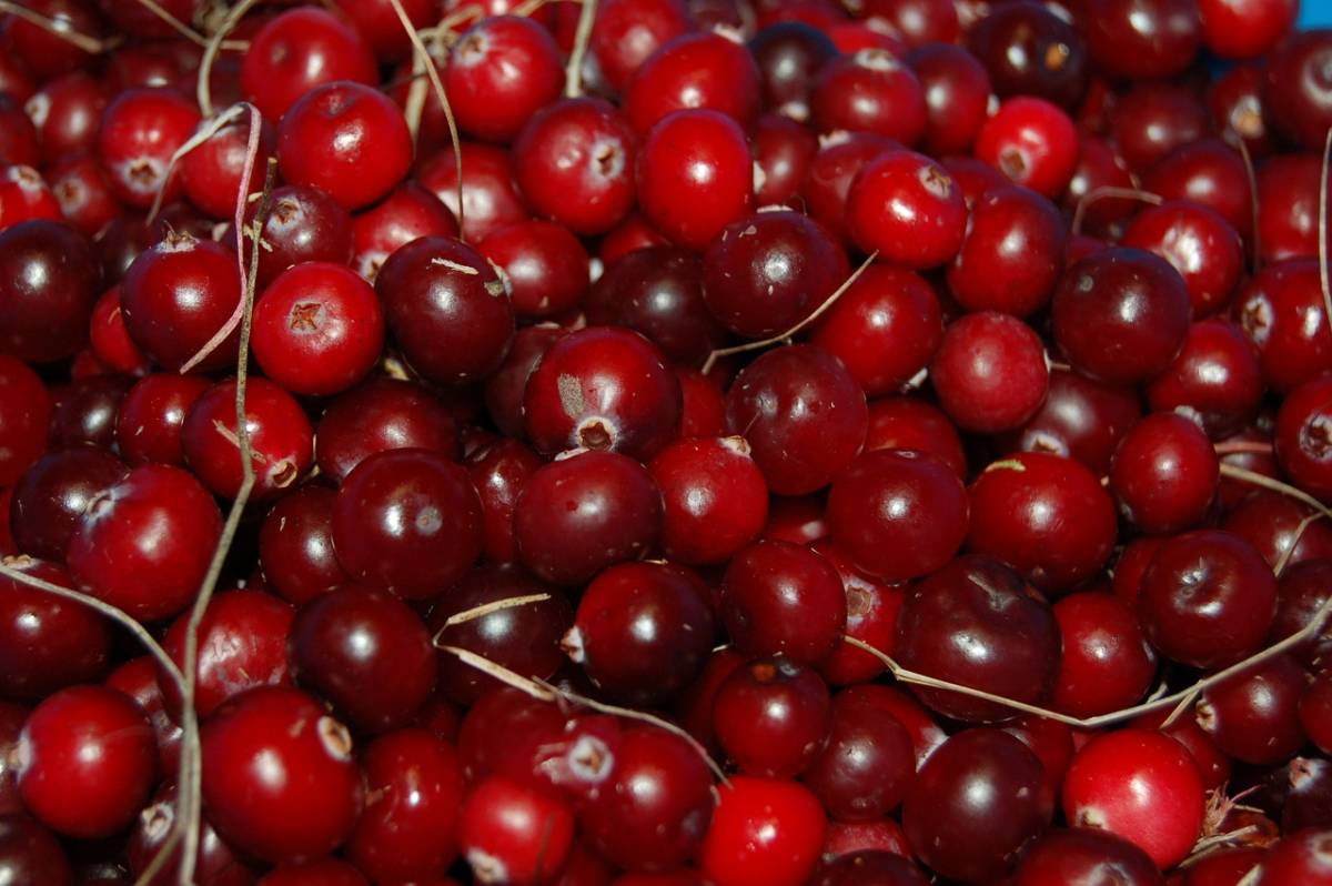 how to make a cranberry